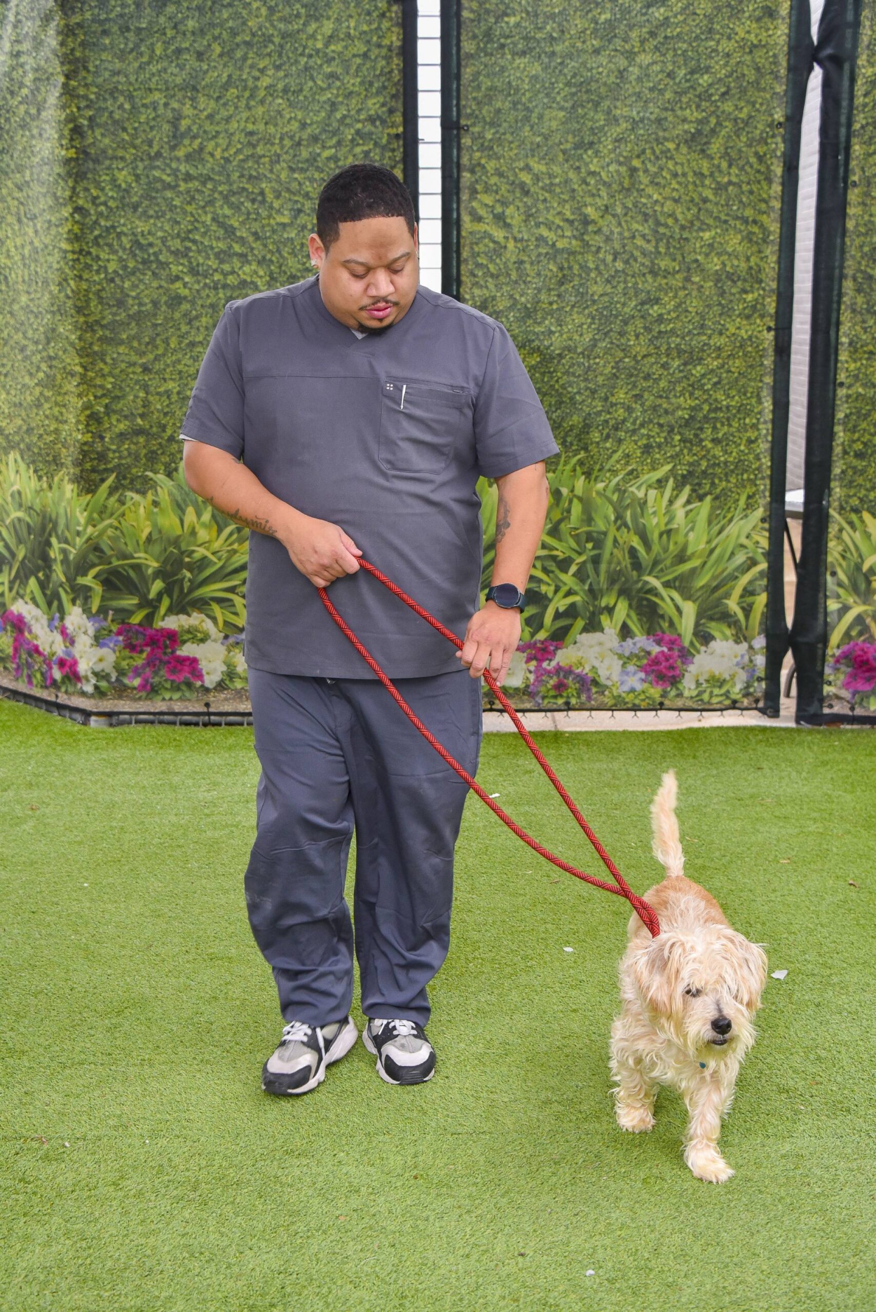 a person walking a dog