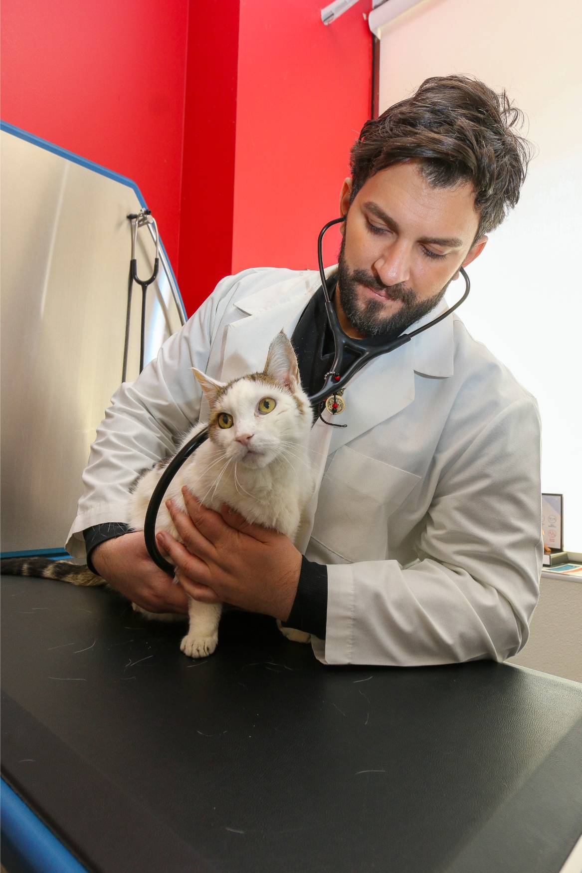 a person in a white coat holding a cat